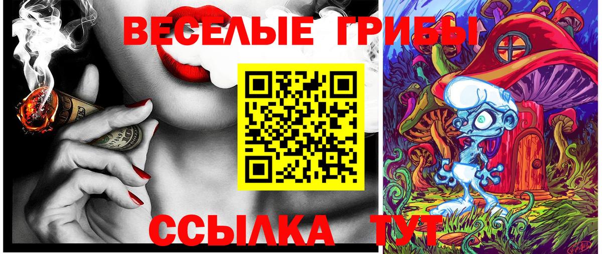 Галлюциногенные грибы Psilocybine cubensis Казань