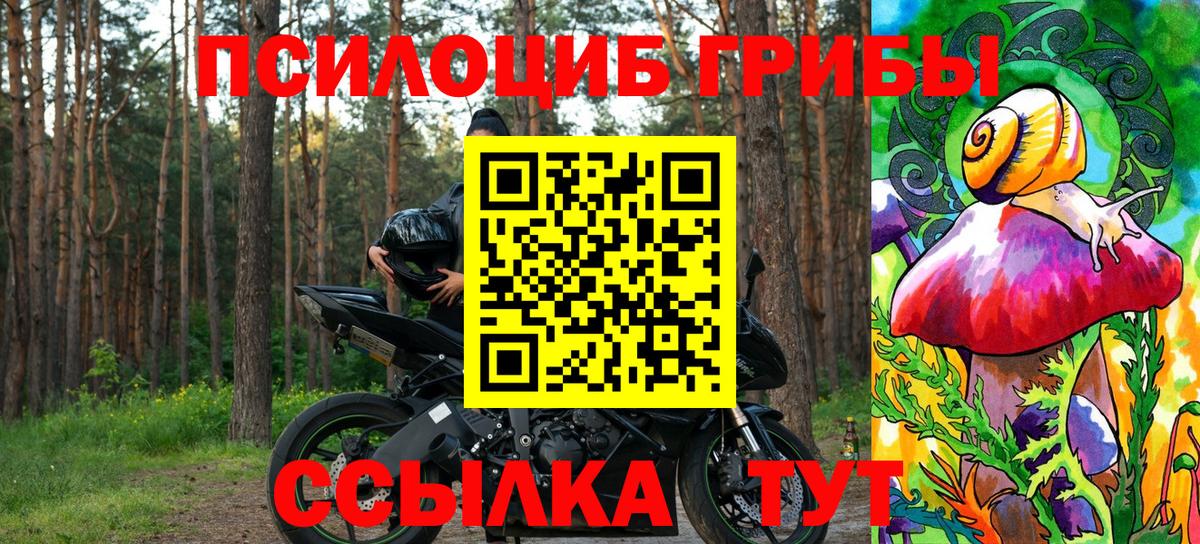 Галлюциногенные грибы прущие грибы  Казань 