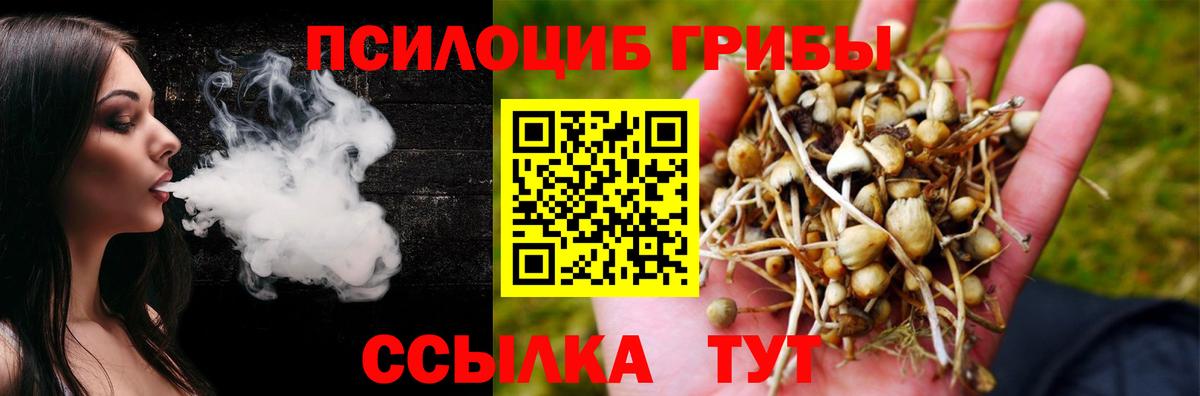 Галлюциногенные грибы Cubensis  Вход с VPN  Казань 